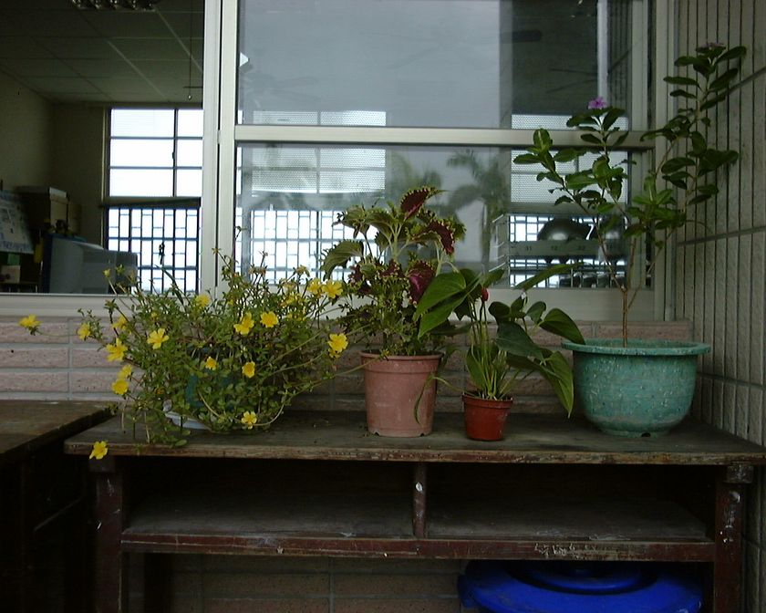 1998-01010-3_1.JPG
